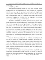 skkn một số biện pháp nâng cao hiệu quả sử dụng và tự làm đồ dùng dạy học ở trường tiểu 