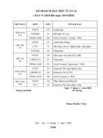 Kế hoạch dạy học trực tuyến lớp 3 - Tuần 24