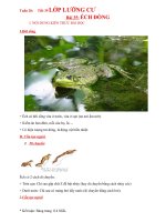 nội dung bài học giảm tải các môn học kì ii năm học 20192020