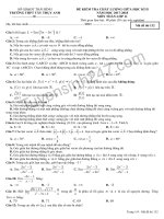 Đề thi giữa kì 2 lớp 11 môn Toán THPT Tây Thụy Anh