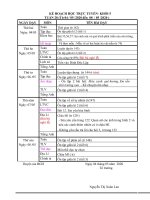 Kế hoạch dạy học trực tuyến lớp 5 - Tuần 28.