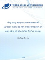 Ứng dụng mạng nơ ron nhân tạo để dự đoán cường độ nén của bê tông đầm lăn làm bằng cốt liệu xỉ thép EAF và tro bay 