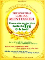 Sách Phương pháp giáo dục Montessori - Phương pháp giáo dục tối ưu dành cho trẻ 0-6 tuổi