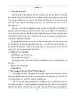 skkn một số biện pháp nâng cao hiệu quả dạy và học môn mĩ thuật ở tiểu học theo phương pháp đan mạch 