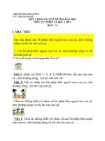 Điều chỉnh tài liệu hướng dẫn học môn: tự nhiên xã hội - ...