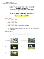 Bài giảng Tiếng Anh lớp 3 tuần 28