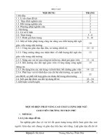 skkn một số BIỆN PHÁP NÂNG CAO CHẤT LƯỢNG đội NGŨ GIÁO VIÊN TRƯỜNG TIỂU học 