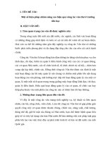 skkn một số biện pháp nhằm nâng cao hiệu quả công tác văn thư ở trường tiểu học 