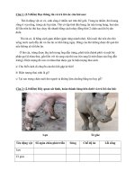 THAM KHẢO MỘT SỐ ĐỀ ÔN THI HK2 - NĂM HỌC 2017- 2018 (MÔN SINH KHỐI 7)