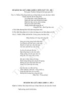 Đề thi giữa học kì 2 môn Văn lớp 11 - Có đáp án