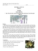 Bài tập thực hành môn Tiếng Việt - Lớp 4 ( Tuần 22)