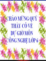 Giáo án thao giảng GVG cô Nguyễn Thị Hoa Mơ, tổ Văn