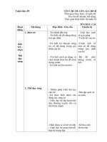 Giáo án tuần 09 chủ đề Gia đình. Chủ đề nhánh 3: Đồ dùng trong gia đình