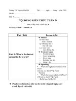 Nội dung học tuần 24: môn tiếng Anh (Khối Bốn)