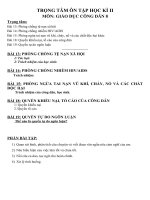 Hướng dẫn ôn tập Kiểm tra Học kỳ 2 - Năm học 2018-2019: môn Giáo dục Công dân 8