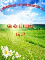 Bài giảng môn Chính tả_Lớp 3_Tuần 10_Lê Thị Bảy - Website Trường Tiểu Học Trần Đình Tri - Đại Lộc - Quảng Nam