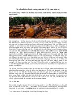 Những vấn đề lớn về môi trường sinh thái ở Việt Nam