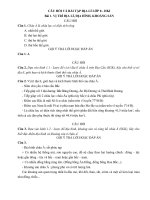 Câu hỏi bài tập địa lý 8 - Website Trường THCS Phan Bội Châu - Đại Lộc - Quảng Nam