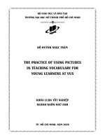 The practice of using pictures in teaching vocabulary for young learners at VUS 