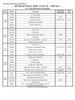 Khối 3 - Kế hoạch giảng dạy tuần 29