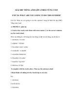 Unit 20. What are you going to do this summer?