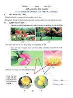 Bài học thứ hai, ngày 04 tháng 5 năm 2020 - Khối lớp 5