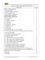 Skkn một số biện pháp nâng cao hiệu quả phong trào tiết kiệm nuôi heo đất trong đội viên tại liên đội thcs lê đình chinh