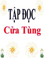 cửa tùng  th đình xuyên