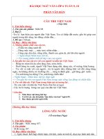 Bài học ngữ văn 6 tuần 9, 10 HK2