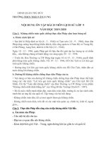 Bài học lịch sử 9 tuần 11, 12 HK2