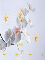 Tuần 10: Toán: luyện tập trang 55-56