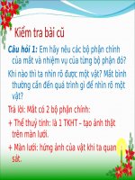 Giáo án pp Vật lý 9 Tiet 55 mat can thi va mat lao 