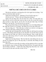 Nội dung ôn tập trực tuyến môn Tiếng Việt Khối Lớp 4 (Đề số 05)