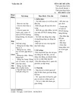 giáo án chủ nhiệm tuần 28: Một số phương tiện giao thông đường hàng không