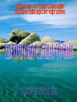 Tuần 8 - Đạo đức - Lớp 5 - Nhớ ơn tổ tiên