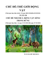 giáo án chủ đề Thế giới động vật tuần 20 tuần chính nhánh 2