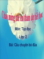 Tập đọc 2 - Tuần 14: Bài: Câu chuyện bó đũa