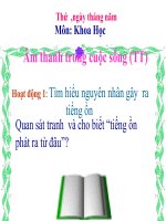 Khoa học 4: Âm thanh trong cuộc sống