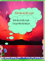 Lop 5- LICH SU -BAI 4 XA HOI VIET NAM CUOI THE KI XIX DAU THE KIXX