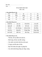 ÔN TẬP MÔN TIẾNG VIỆT LỚP 1 - PHIẾU 1