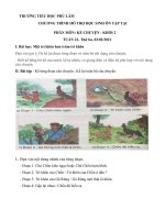 Chương trình ôn tập Khối 2. Tuần 22.