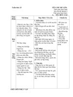 giáo án chủ nhiệm tuần thứ 25 chủ đề ;thế giới thực vật;chủ đề nhánh một số loại hoa quả