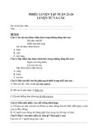 2020) - Tuần 25: Ôn Luyện từ và câu tuần 23, 24