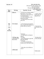 Giáo án chủ nhiệm tuần 30: mùa hè