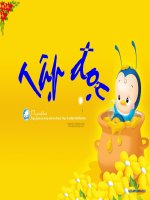 Tập đọc 5: Hành trình bày ong