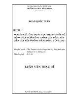 Nghiên cứu ứng dụng cọc khoan nhồi mở rộng đáy dưới công trình cấu lớn trên nến đất yếu ở đồng bằng sông cửu long 