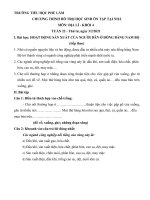 Chương trình ôn tập Khối 4 Tuần 22