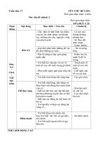 tuần 17