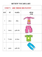 Phiếu ôn tập môn Tiếng Anh lớp 2 - Tuần 25