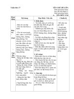 Giáo án chủ nhiệm tuần 17: PTGT đường thủy đường hàng không